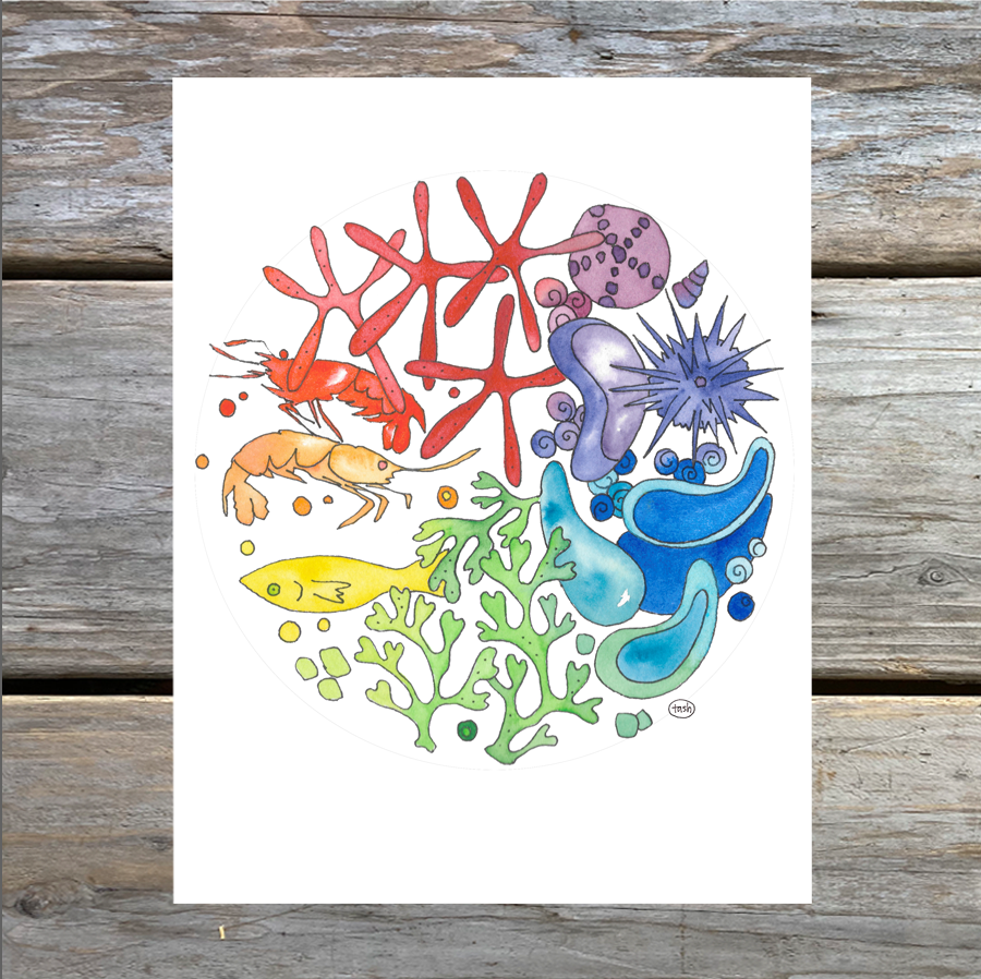 Marine Color Wheel Note Card