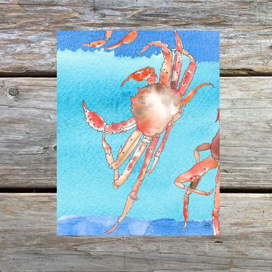 Tanner Crab Art Print