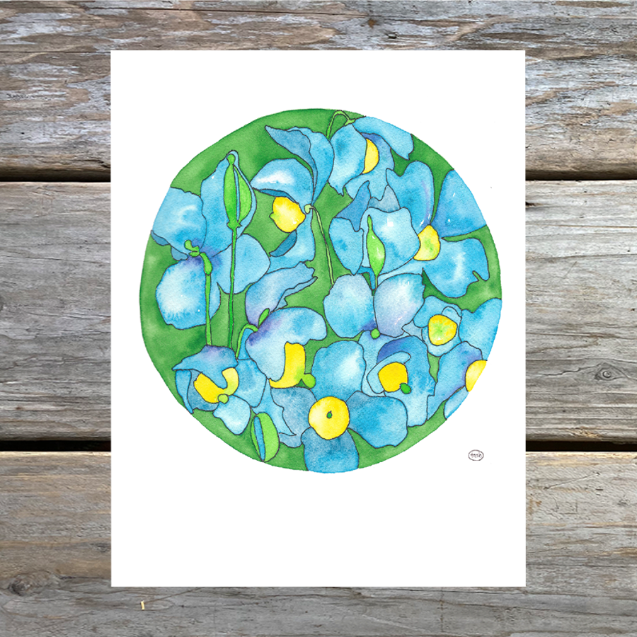 Blue Poppy Note Card