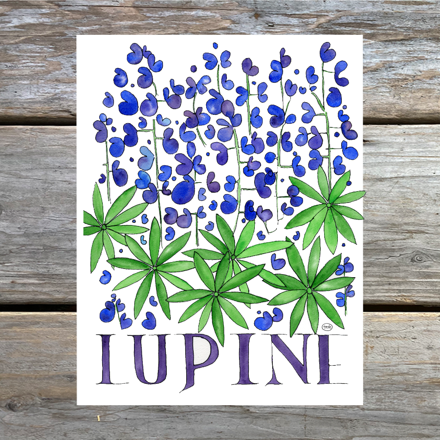 Lupine Watercolor (with text) Art Print