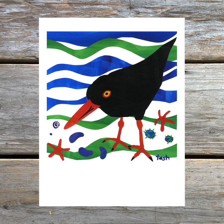 Oyster Catcher Collage Note Card