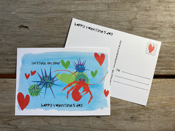 Alaska Hermit Crab and Sea Urchin Valentine's Day Postcard- Set of 3