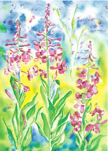 Fall Fireweed Art Print