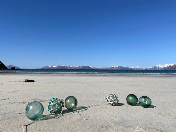 Glass Floats Art Print