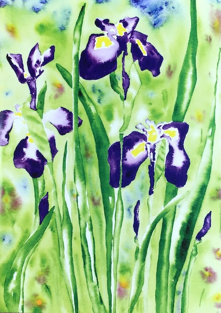 Iris Watercolor Art Print