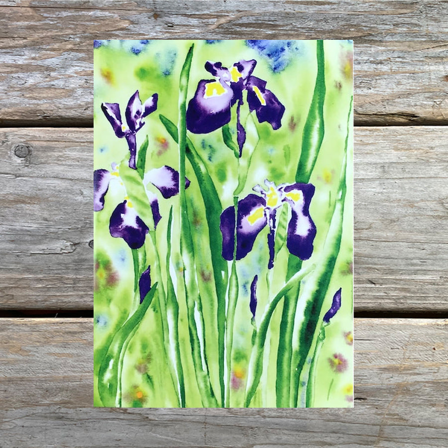 Iris Watercolor 5-Card Pack