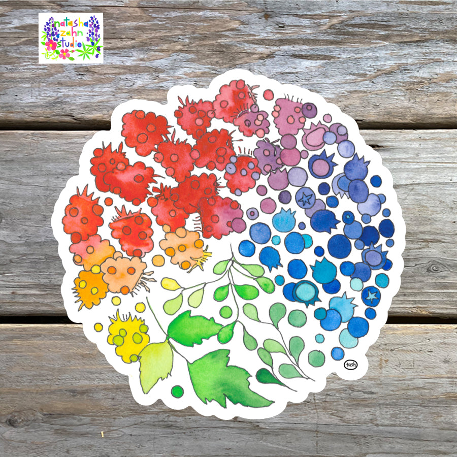 Berry Color Wheel Sticker