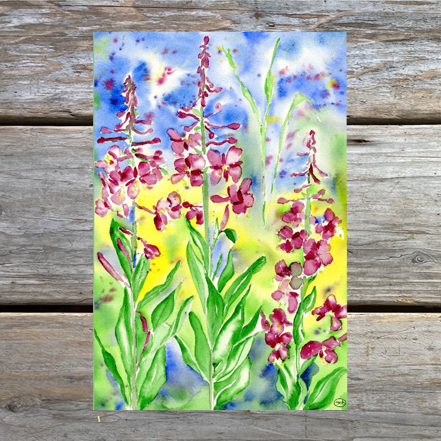 Fireweed Sketch Journal