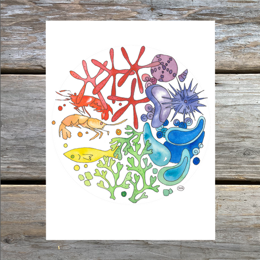 Marine Color Wheel Note Card