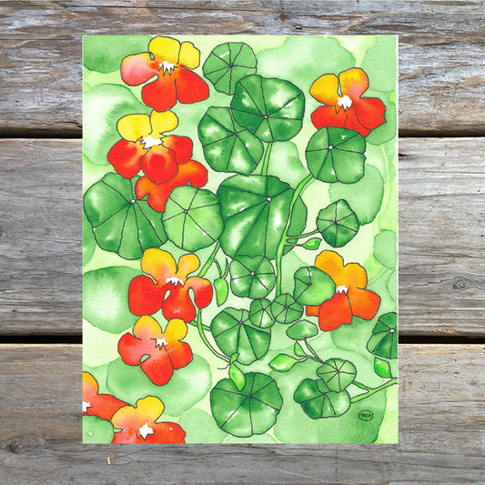 Nasturtium Note Card