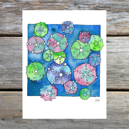 Sea Urchin Note Card