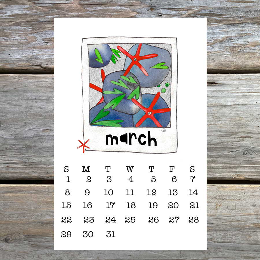 2026 Wall Calendar ( 5.5 x 8.5 )
