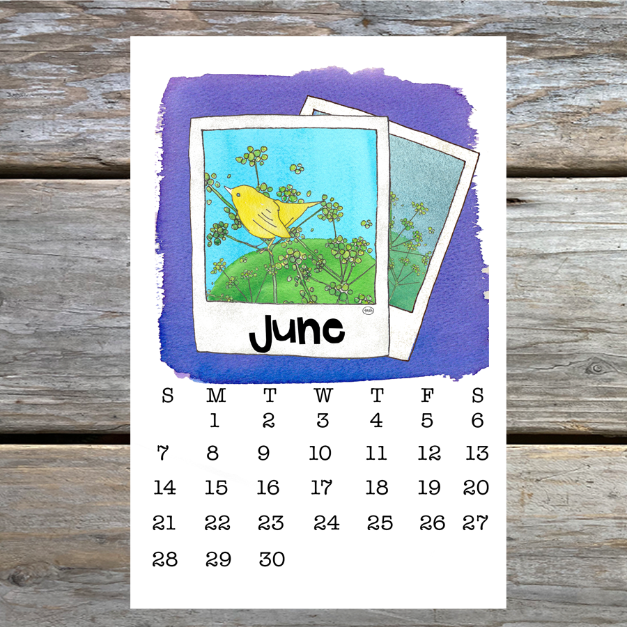 2026 Wall Calendar ( 5.5 x 8.5 )