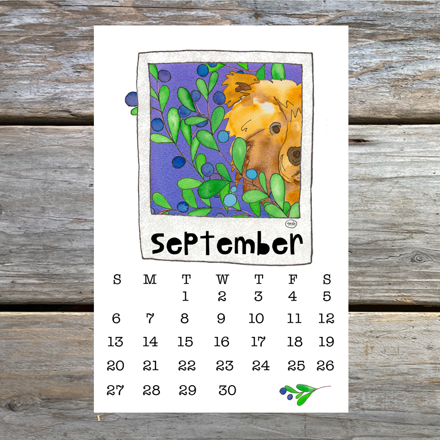 2026 Wall Calendar ( 5.5 x 8.5 )