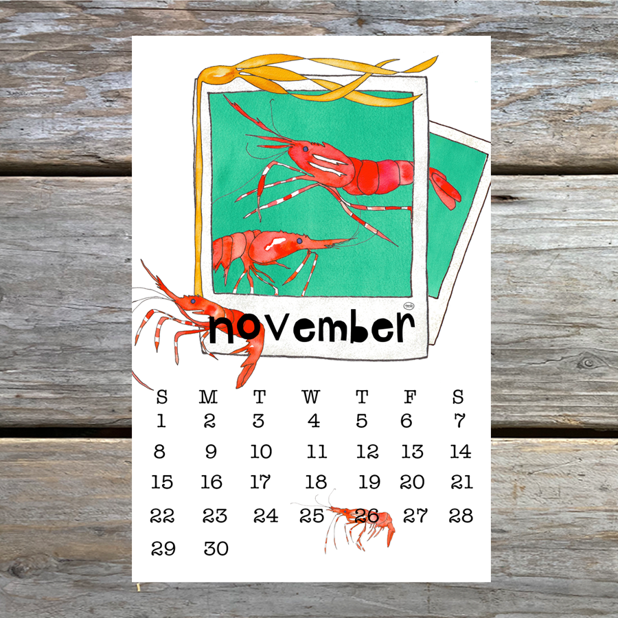 2026 Wall Calendar ( 5.5 x 8.5 )