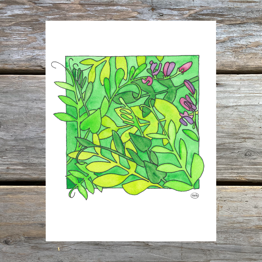 Beach Pea Note Card
