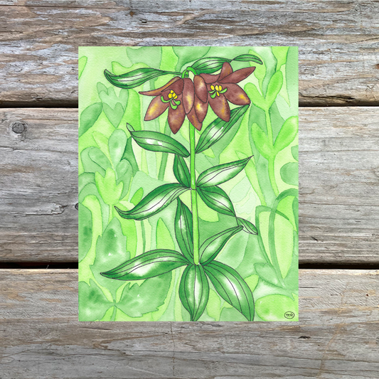 Chocolate Lily Note Card