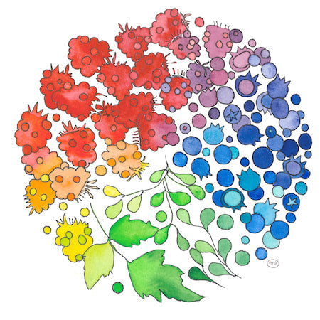 Berry Color Wheel Note Card