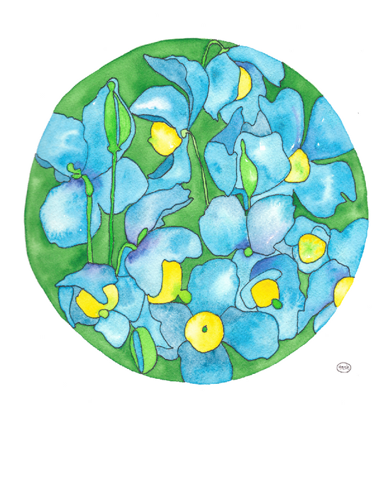 Blue Poppy Note Card