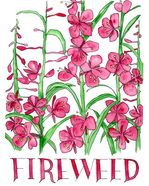 Fireweed (with text) Art Print