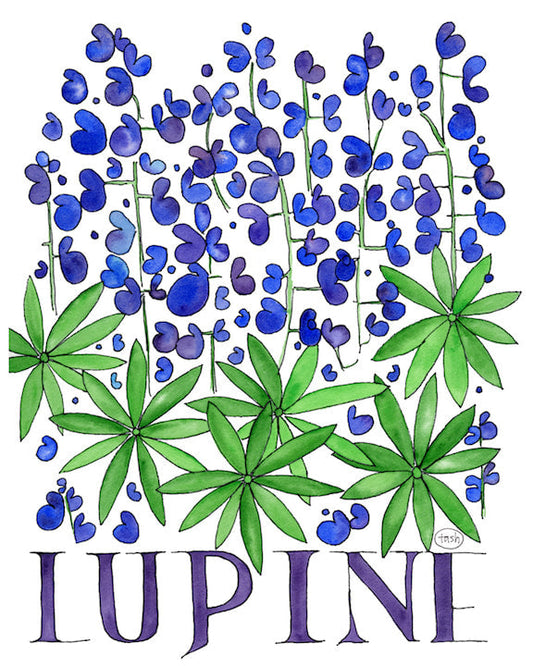 Lupine Watercolor (with text) Note Card Pack