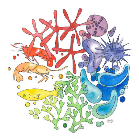 Marine Color Wheel Note Card