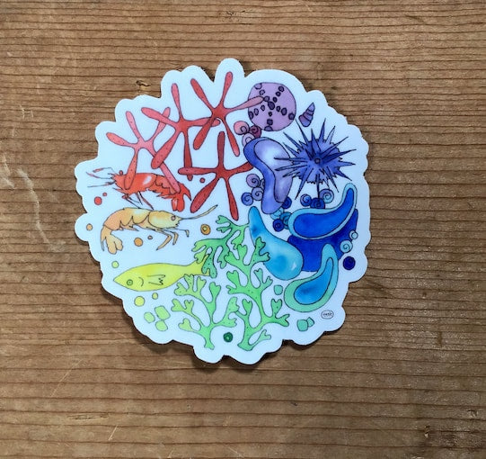 Marine Color Wheel Note Card