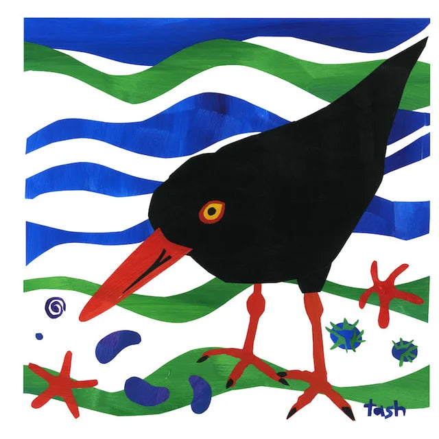 Oyster Catcher Collage Note Card Pack