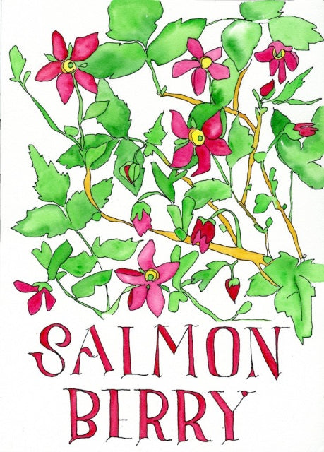 Salmonberry Watercolor (with text) Art Print