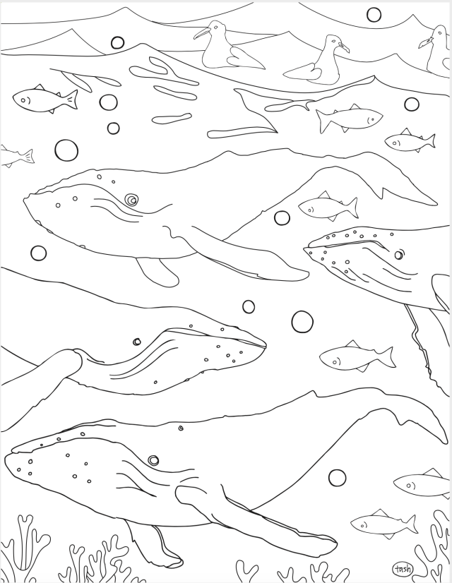 Whale Coloring Page
